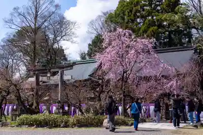 北野天満宮(京都府)