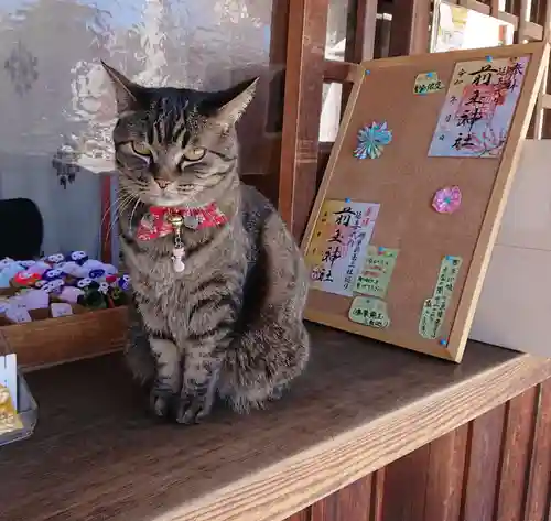 前玉神社の動物