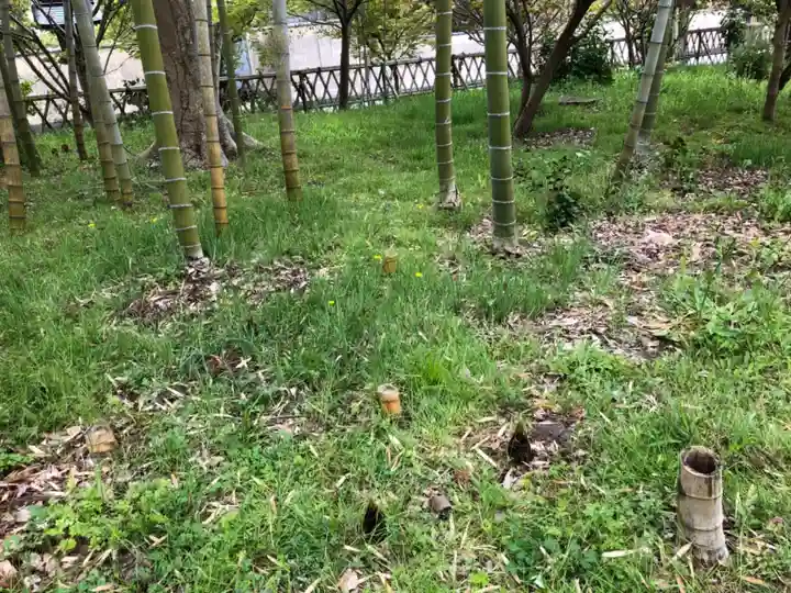 埴生護國八幡宮の自然