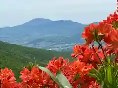 山家神社奥宮の自然