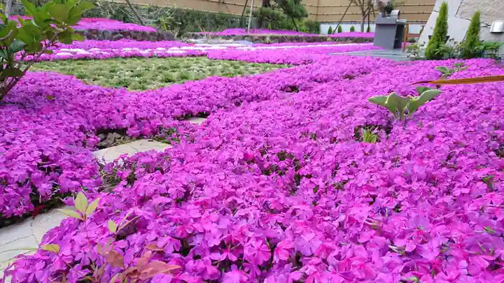 寿量山 速成寺の自然
