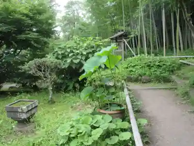 英勝寺(神奈川県)