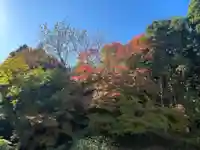 国上寺(新潟県)