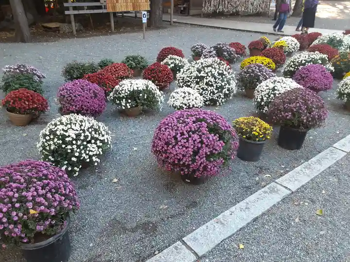 平塚八幡宮(神奈川県)
