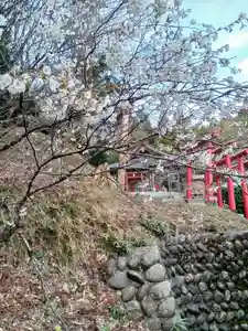 白狐山光星寺(山形県)(2025年03月29日(土) 22時07分55秒投稿)