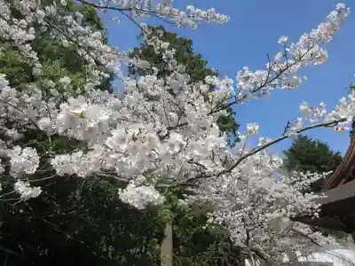 松尾寺(京都府)