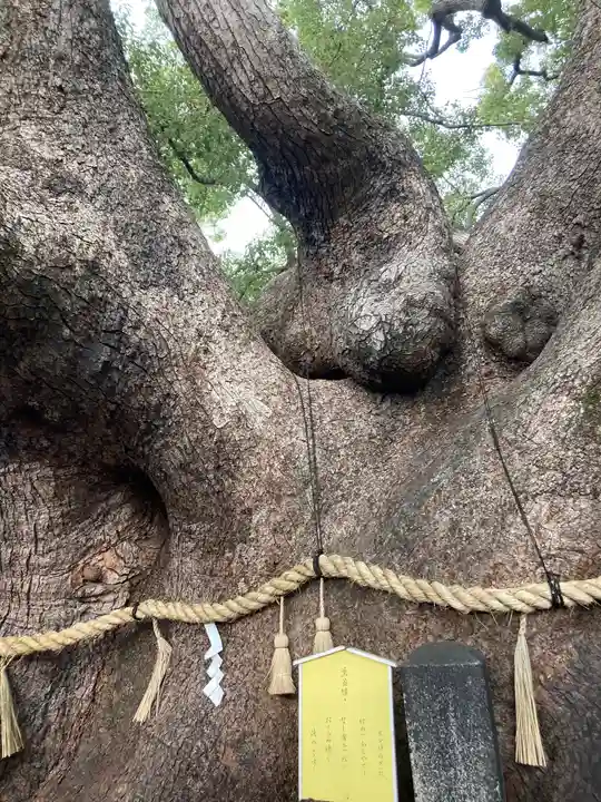 三島神社(大阪府)