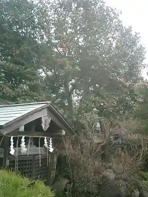 本覚寺の本殿・本堂