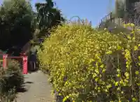 差出磯大嶽山神社 仕事と健康と厄よけの神さま(山梨県)