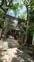 赤坂氷川神社の鳥居