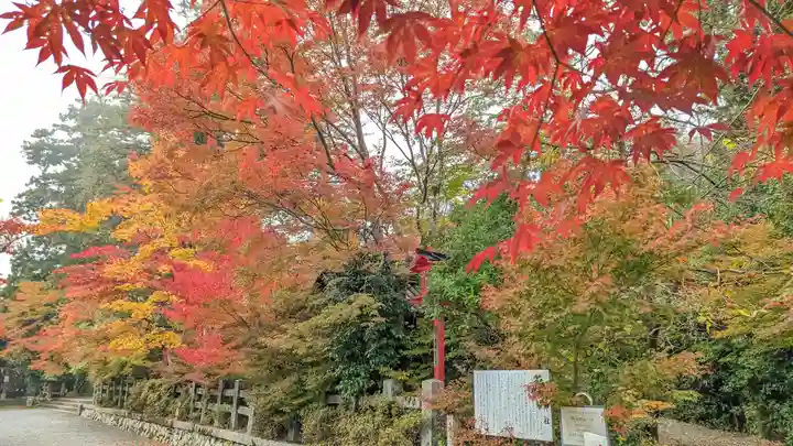 鍬山神社(京都府)