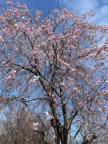 善峯寺(京都府)