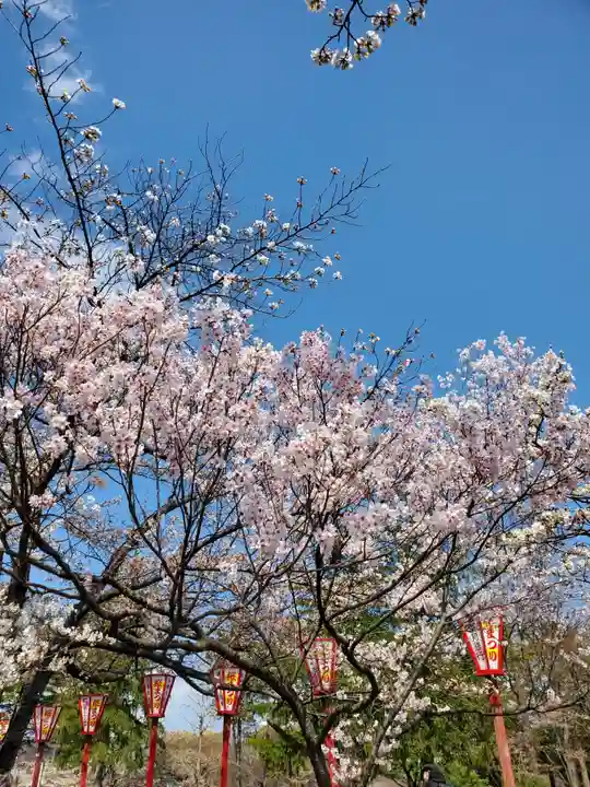 開成山大神宮の自然