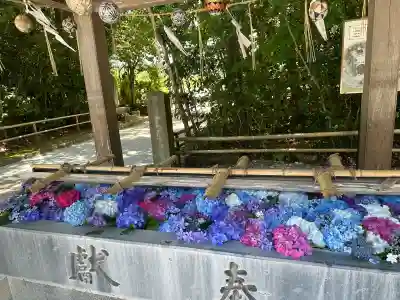 大富神社(福岡県)