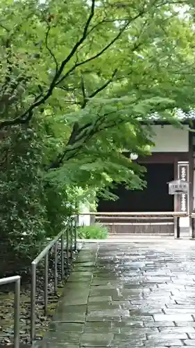 青蓮院門跡の庭園