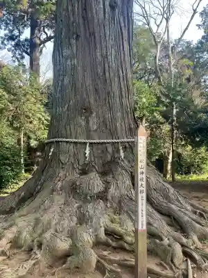 松山神社の{uncategorized: "未分類", other: "その他", undefined: "問題あり", building: "その他建物", grave: "お墓", sacred_gate: "鳥居", guardian: "狛犬", statue: "像", buddha: "仏像", history: "歴史", nature: "自然", garden: "庭園", animal: "動物", pagoda: "塔", temizu: "手水舎", mountain_gate: "山門・神門", sanctuary: "本殿・本堂", subordinate: "末社・摂社", art: "芸術", scenery: "景色", jizo: "地蔵", ema: "絵馬", goshuin: "御朱印", omikuji: "おみくじ", items: "授与品その他", amulet: "お守り", goshuincho: "御朱印帳", eats: "食事", festival: "お祭り", votive_dance: "神楽", shichigosan: "七五三参", wedding: "結婚式", experience: "体験その他", initially: "初詣", around: "周辺", anti_infection: "感染症対策"}
