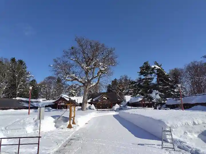 北海道護國神社の本殿・本堂