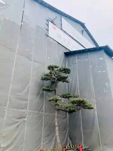 三十三間堂本坊　妙法院門跡(京都府)