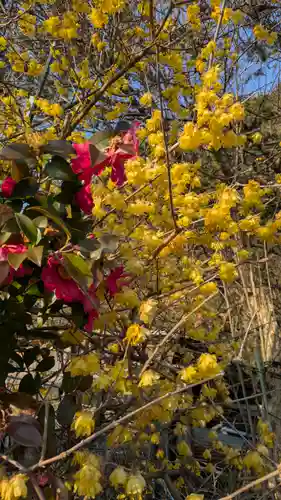 八王子神社(滋賀県)