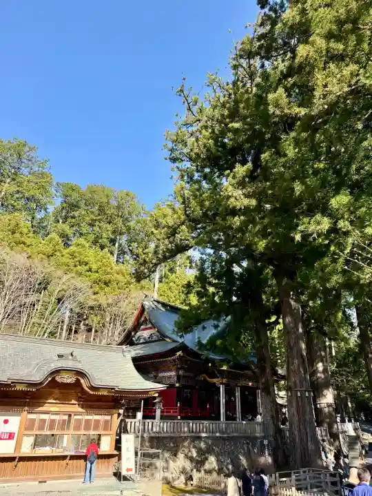 三峯神社の{uncategorized: "未分類", other: "その他", undefined: "問題あり", building: "その他建物", grave: "お墓", sacred_gate: "鳥居", guardian: "狛犬", statue: "像", buddha: "仏像", history: "歴史", nature: "自然", garden: "庭園", animal: "動物", pagoda: "塔", temizu: "手水舎", mountain_gate: "山門・神門", sanctuary: "本殿・本堂", subordinate: "末社・摂社", art: "芸術", scenery: "景色", jizo: "地蔵", ema: "絵馬", goshuin: "御朱印", omikuji: "おみくじ", items: "授与品その他", amulet: "お守り", goshuincho: "御朱印帳", eats: "食事", festival: "お祭り", votive_dance: "神楽", shichigosan: "七五三参", wedding: "結婚式", experience: "体験その他", initially: "初詣", around: "周辺", anti_infection: "感染症対策"}