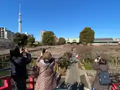 亀戸天神社の建物その他