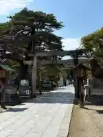 白山神社の{uncategorized: "未分類", other: "その他", undefined: "問題あり", building: "その他建物", grave: "お墓", sacred_gate: "鳥居", guardian: "狛犬", statue: "像", buddha: "仏像", history: "歴史", nature: "自然", garden: "庭園", animal: "動物", pagoda: "塔", temizu: "手水舎", mountain_gate: "山門・神門", sanctuary: "本殿・本堂", subordinate: "末社・摂社", art: "芸術", scenery: "景色", jizo: "地蔵", ema: "絵馬", goshuin: "御朱印", omikuji: "おみくじ", items: "授与品その他", amulet: "お守り", goshuincho: "御朱印帳", eats: "食事", festival: "お祭り", votive_dance: "神楽", shichigosan: "七五三参", wedding: "結婚式", experience: "体験その他", initially: "初詣", around: "周辺", anti_infection: "感染症対策"}