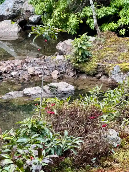 実相院門跡の{uncategorized: "未分類", other: "その他", undefined: "問題あり", building: "その他建物", grave: "お墓", sacred_gate: "鳥居", guardian: "狛犬", statue: "像", buddha: "仏像", history: "歴史", nature: "自然", garden: "庭園", animal: "動物", pagoda: "塔", temizu: "手水舎", mountain_gate: "山門・神門", sanctuary: "本殿・本堂", subordinate: "末社・摂社", art: "芸術", scenery: "景色", jizo: "地蔵", ema: "絵馬", goshuin: "御朱印", omikuji: "おみくじ", items: "授与品その他", amulet: "お守り", goshuincho: "御朱印帳", eats: "食事", festival: "お祭り", votive_dance: "神楽", shichigosan: "七五三参", wedding: "結婚式", experience: "体験その他", initially: "初詣", around: "周辺", anti_infection: "感染症対策"}