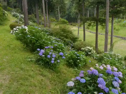 塩船観音寺の自然