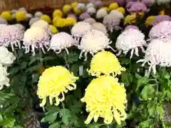 生島足島神社(長野県)