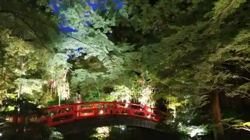 北野天満宮の庭園