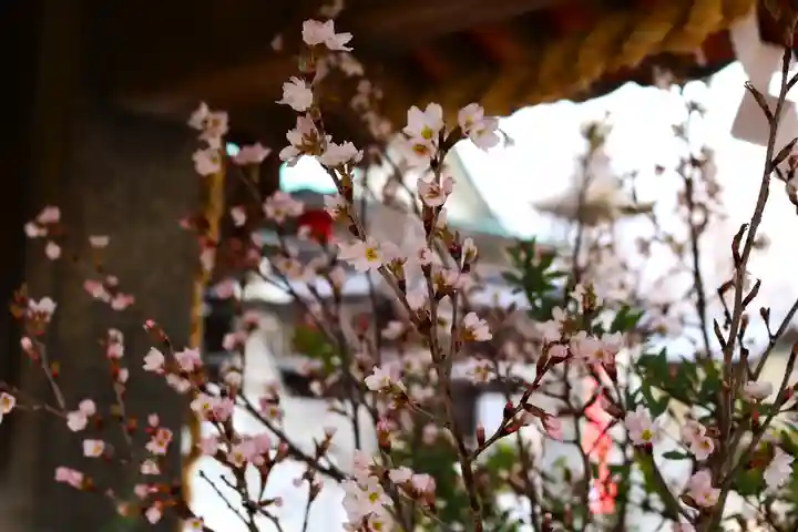 三津厳島神社(愛媛県)