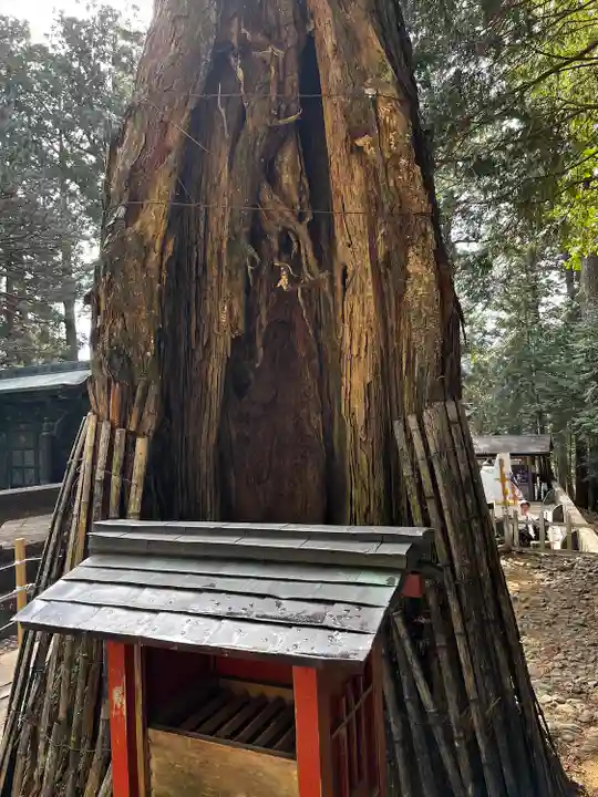日光東照宮(栃木県)
