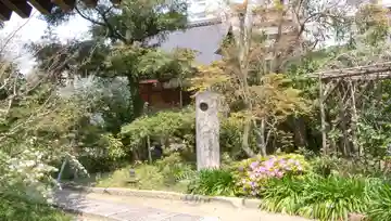 月江寺の本殿・本堂