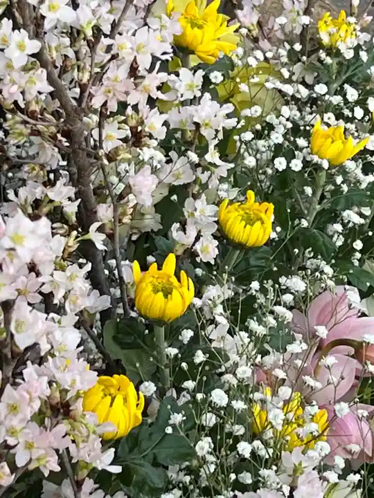 上尾御嶽神社(埼玉県)