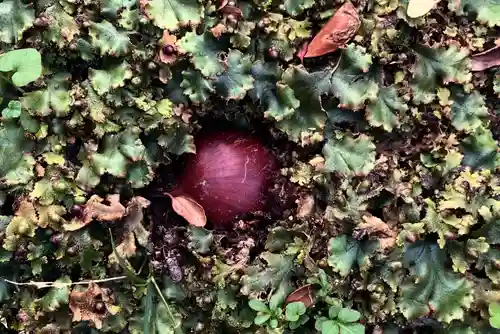 成田山大照寺(北海道)