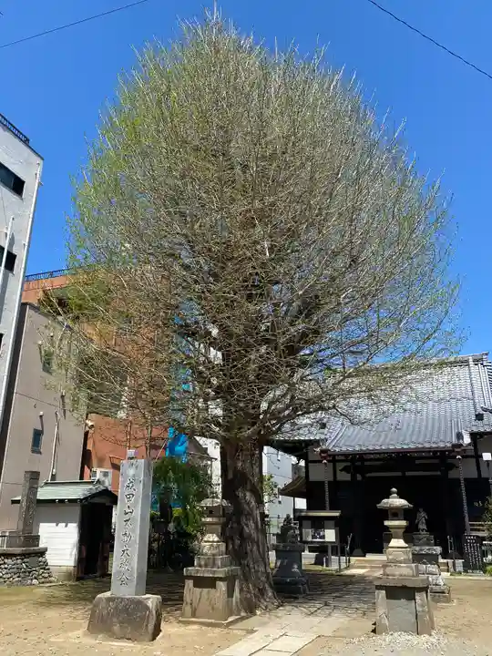 成田山不動大教会(東京都)