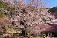 春谷寺(三重県)