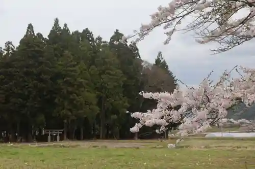 御札神社の鳥居