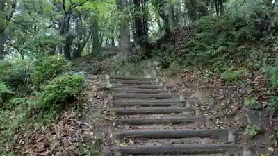 天開稲荷社の自然