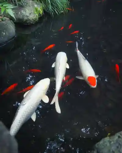 山名八幡宮(群馬県)