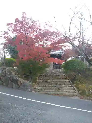 法輪寺の山門