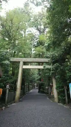 椿大神社の鳥居