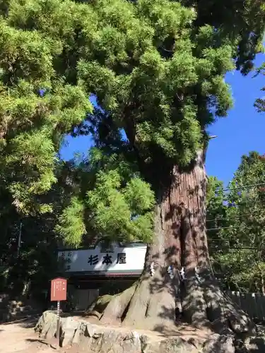 筑波山神社の建物その他