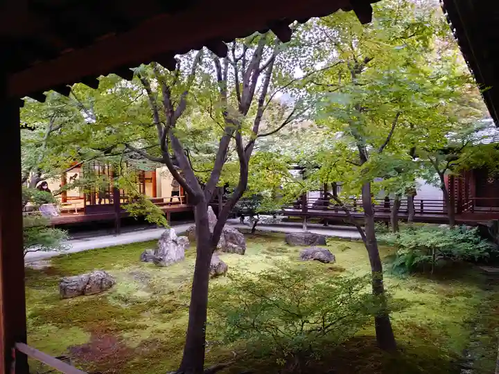 建仁寺(建仁禅寺)の庭園