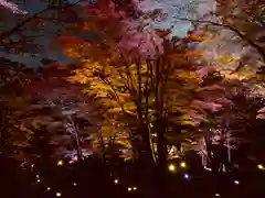 土津神社｜こどもと出世の神さまの庭園