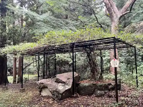 大麻比古神社(徳島県)