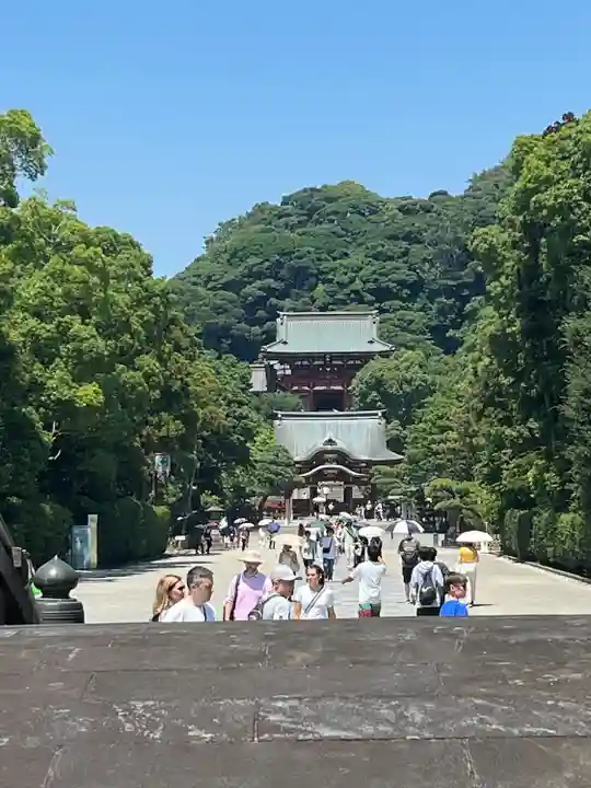 鶴岡八幡宮の景色