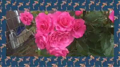 尾久八幡神社(東京都)