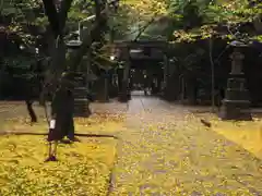 赤坂氷川神社の自然