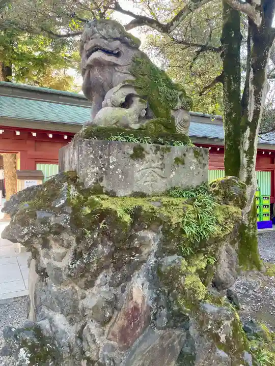 大國魂神社(東京都)